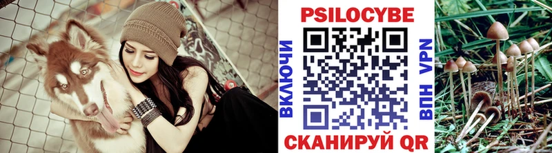 Псилоцибиновые грибы ЛСД  Купить  Новая Усмань 